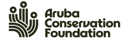 Marketing & Communication Specialist